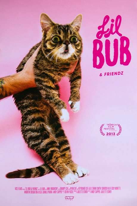 Lil Bub & Friendz